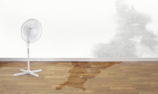 Best Water damage restoration insurance claims  in Washingtonville, NY